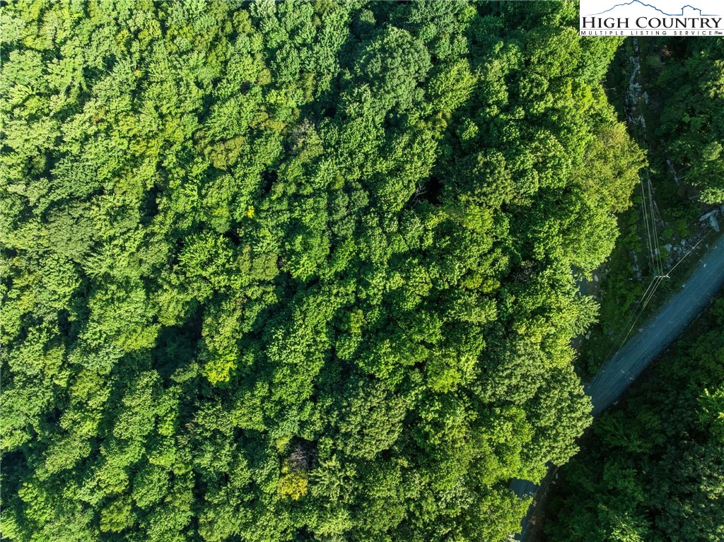 303 Locust Ridge Road Beech Mountain, NC 28604 - Photo 25 of 26 a view of a lush green forest