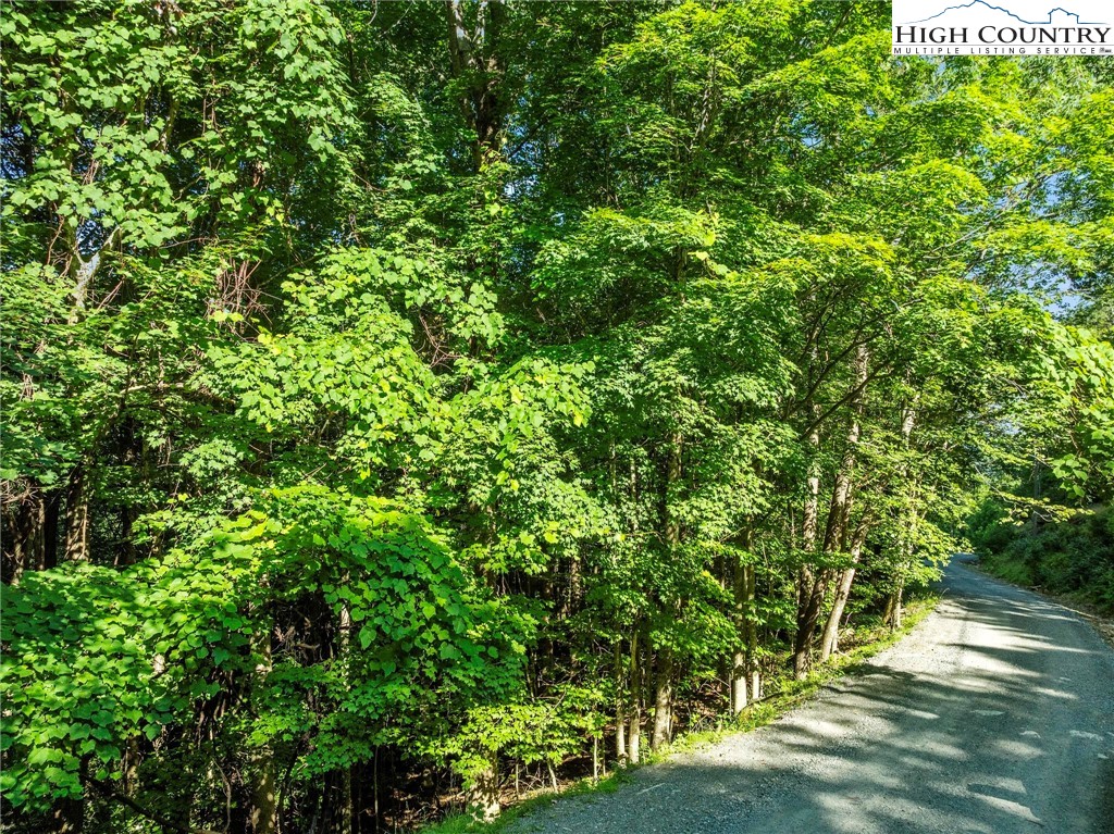 303 Locust Ridge Road Beech Mountain, NC 28604 - Photo 4 of 26 a view of a yard