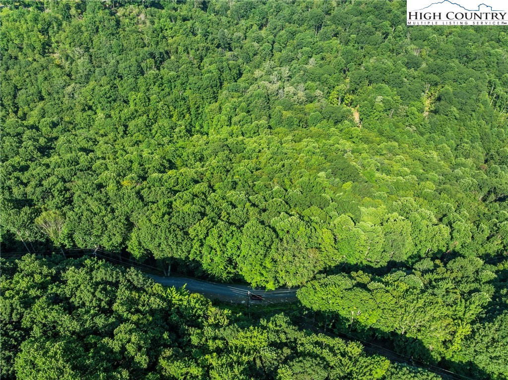 303 Locust Ridge Road Beech Mountain, NC 28604 - Photo 7 of 26 a view of a large yard with plants and large trees