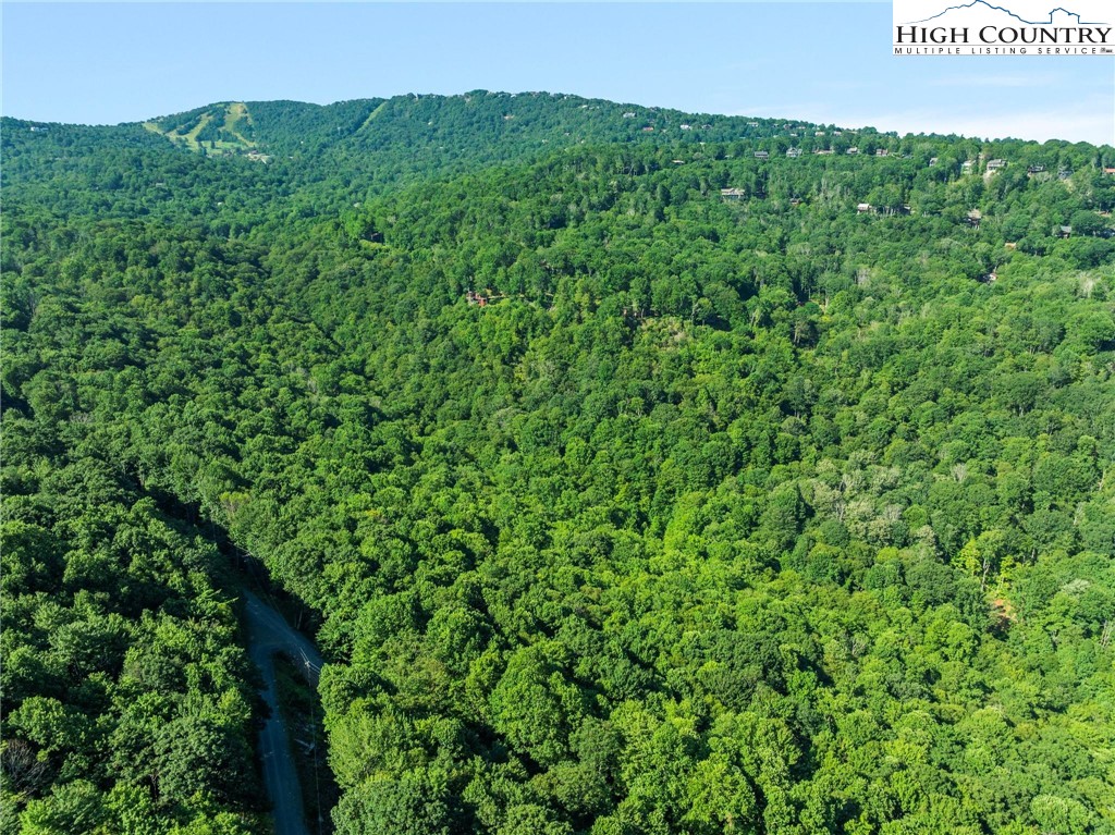 303 Locust Ridge Road Beech Mountain, NC 28604 - Photo 10 of 26 a view of a lush green field