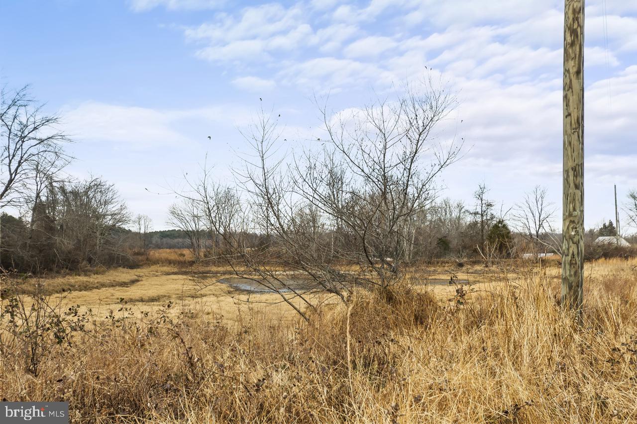 7389 Leeds Manor Road Marshall, VA 20115 - Photo 22 of 33 a view of a yard with trees