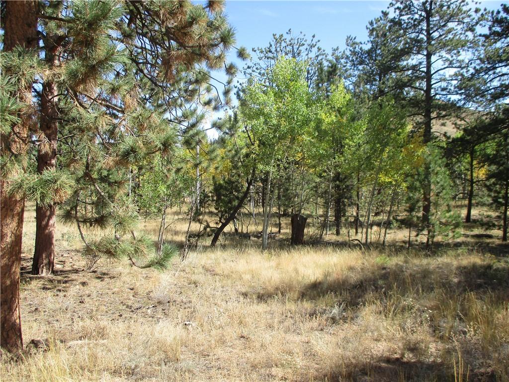 166 Haystack Road Hartsel, CO 80449 - Photo 14 of 16 Gallery Image 14