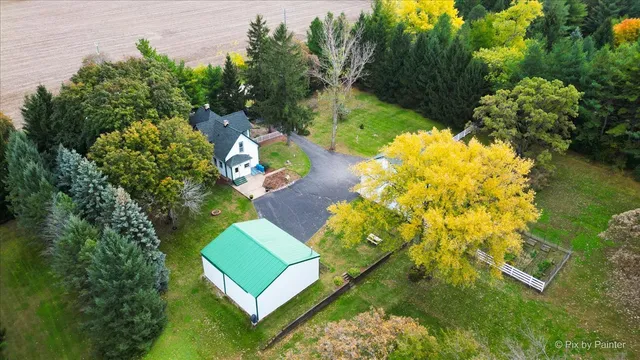 a view of a yard with plants