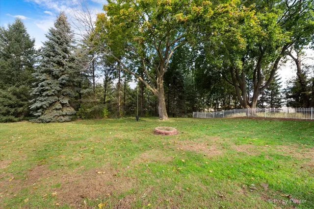 a view of yard with green space