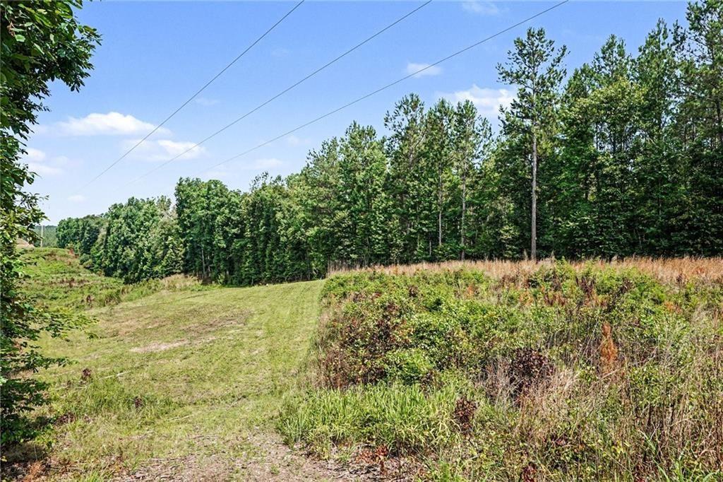 613 Millen Road Monticello, GA 31064 - Photo 31 of 35