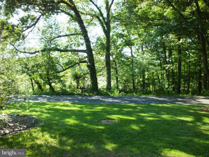 4835 Maple Grove Road Hampstead, MD 21074 - Photo 13 of 27 a backyard of a house with lots of green space