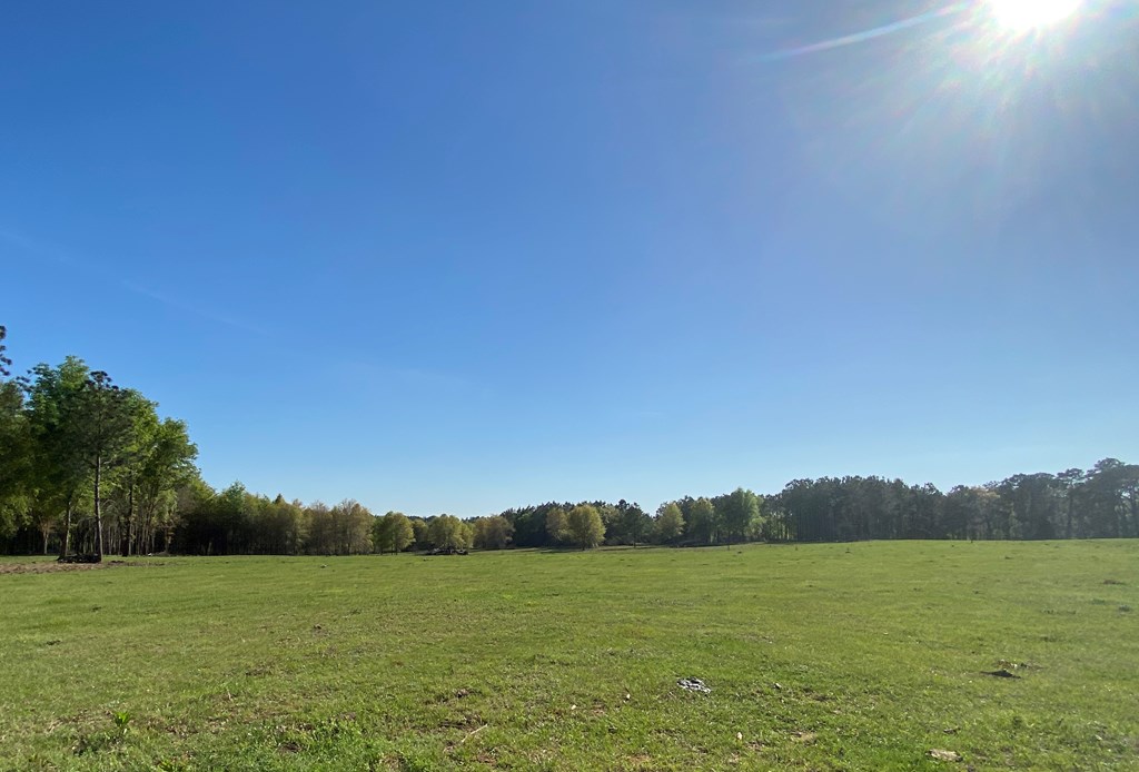 0 Co Road Abbeville, AL 36310 - Photo 10 of 53