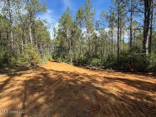 $166,500 | Centerville Road, Magnolia, MS 39652