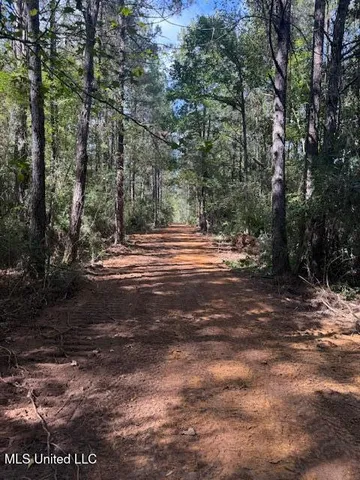 $166,500 | Centerville Road, Magnolia, MS 39652