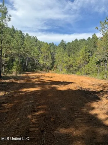 $166,500 | Centerville Road, Magnolia, MS 39652