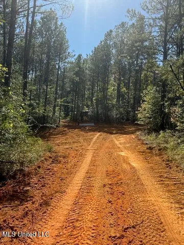 $166,500 | Centerville Road, Magnolia, MS 39652