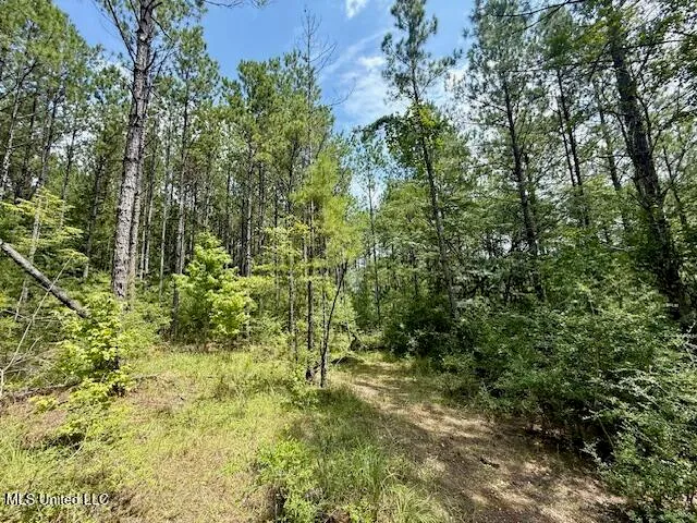 $166,500 | Centerville Road, Magnolia, MS 39652