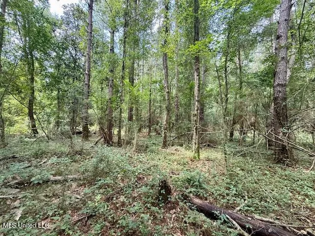 $166,500 | Centerville Road, Magnolia, MS 39652
