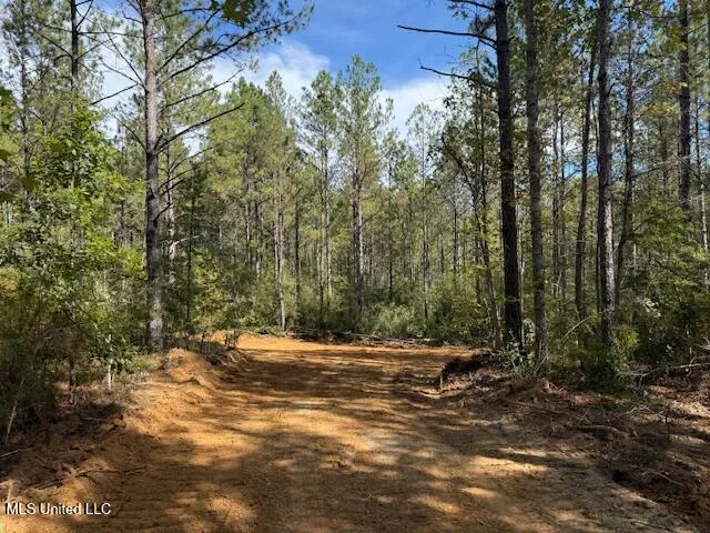 $166,500 | Centerville Road, Magnolia, MS 39652
