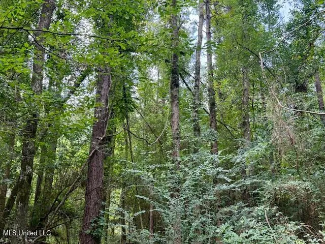 $166,500 | Centerville Road, Magnolia, MS 39652