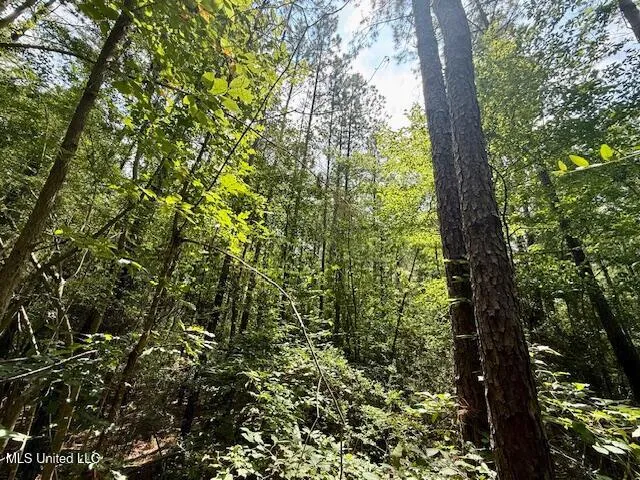 $166,500 | Centerville Road, Magnolia, MS 39652