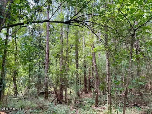 $166,500 | Centerville Road, Magnolia, MS 39652