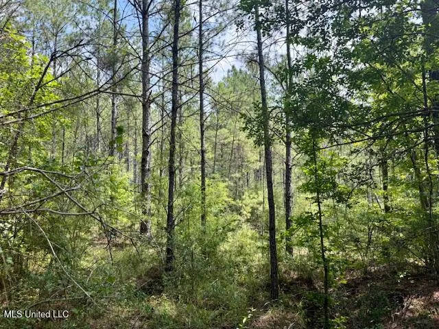 $166,500 | Centerville Road, Magnolia, MS 39652