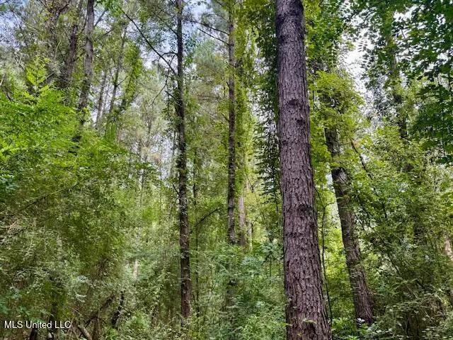 $166,500 | Centerville Road, Magnolia, MS 39652