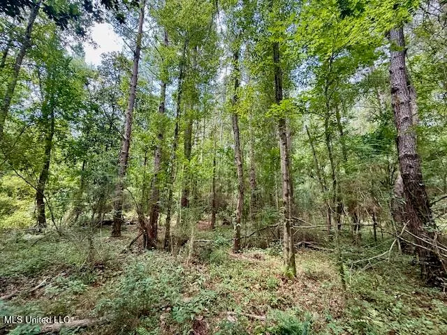 $166,500 | Centerville Road, Magnolia, MS 39652