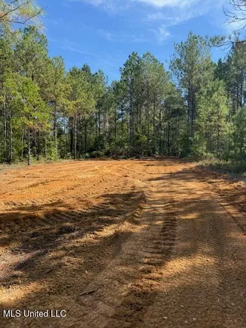 $166,500 | Centerville Road, Magnolia, MS 39652