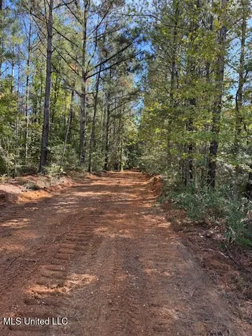 $166,500 | Centerville Road, Magnolia, MS 39652