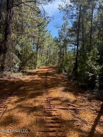 $166,500 | Centerville Road, Magnolia, MS 39652