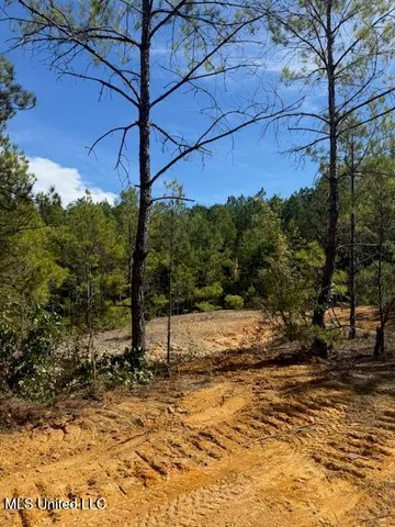 $166,500 | Centerville Road, Magnolia, MS 39652