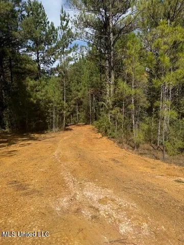 $166,500 | Centerville Road, Magnolia, MS 39652