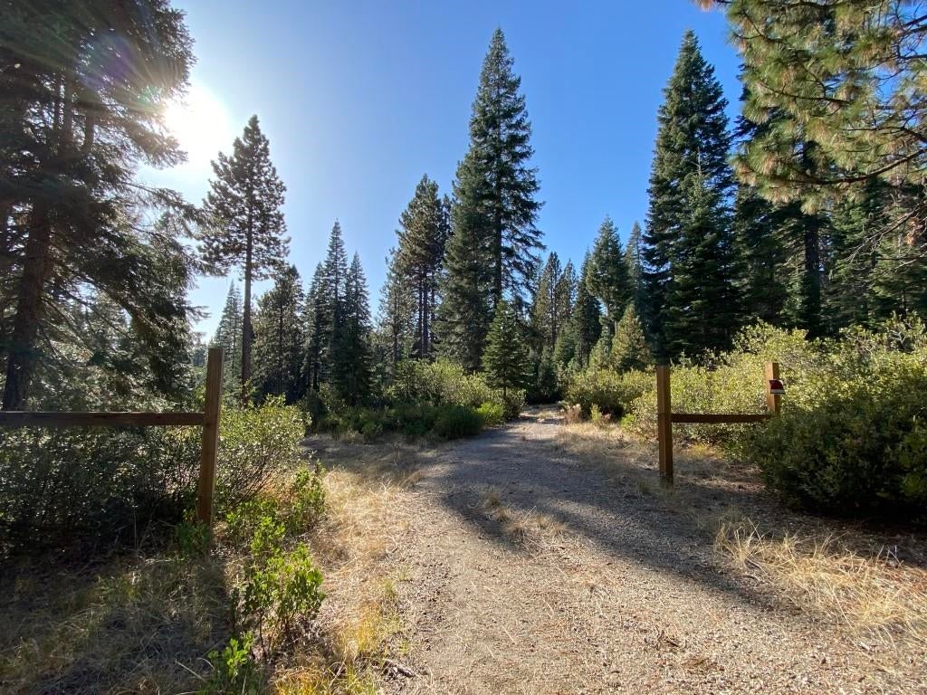 3-e-41 Red Fir Road McCloud, CA 96057 - Photo 1 of 38 Gallery Image 1