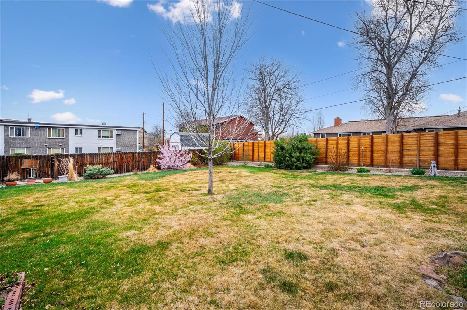 3660 Lee Street Wheat Ridge, CO 80033 - Photo 36 of 46