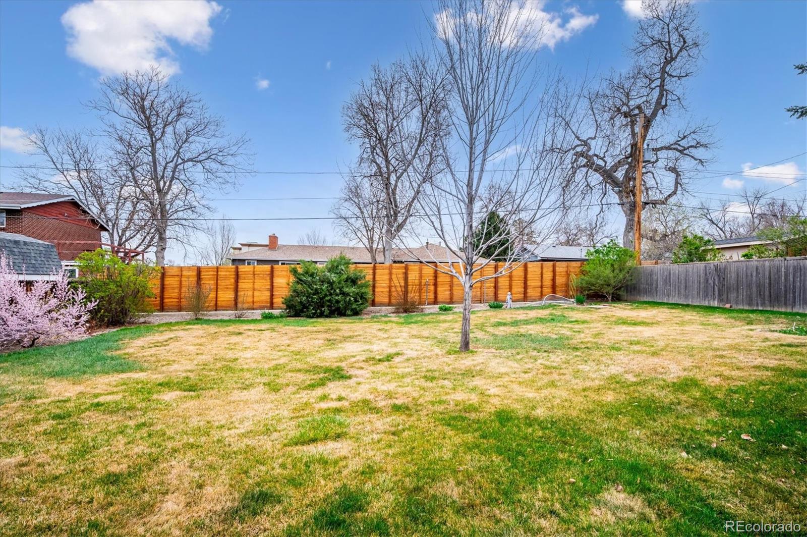 3660 Lee Street Wheat Ridge, CO 80033 - Photo 42 of 46