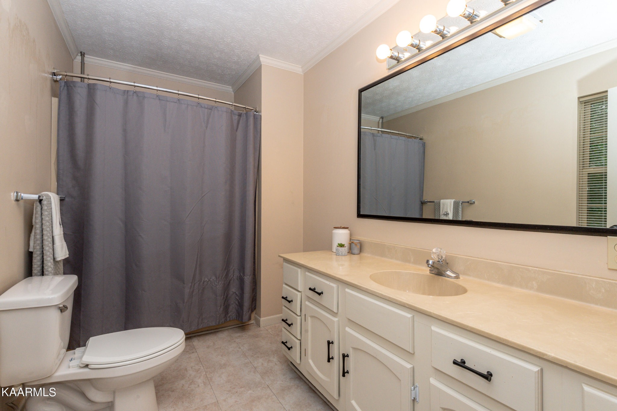 125 Lakeview Estates Road Vonore, TN 37885 - Photo 25 of 46 a bathroom with a double vanity sink toilet and a mirror