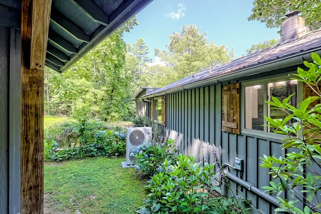 a view of a backyard with plants