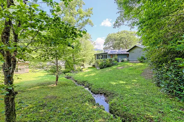 a view of a yard with plants and large trees