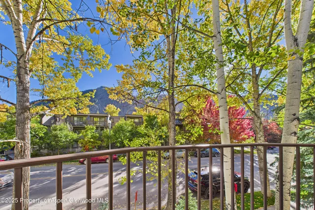 $100,000 | 910 East Cooper Avenue, Aspen, CO 81611