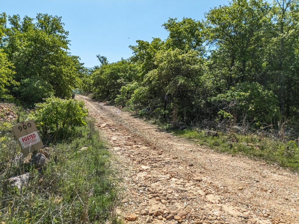 900 Old Spring Road Nocona, TX 76255 - Photo 26 of 27 a view of a yard with plants and a tree