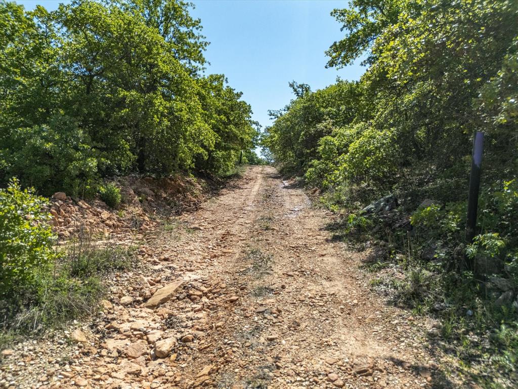 900 Old Spring Road Nocona, TX 76255 - Photo 4 of 27 a view of a yard with plants and a tree