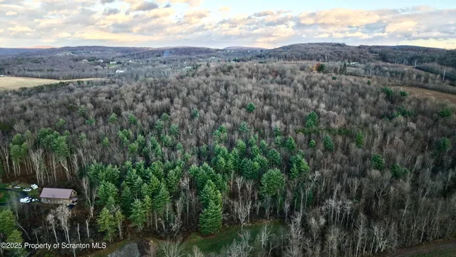 a view of a city with lush green forest