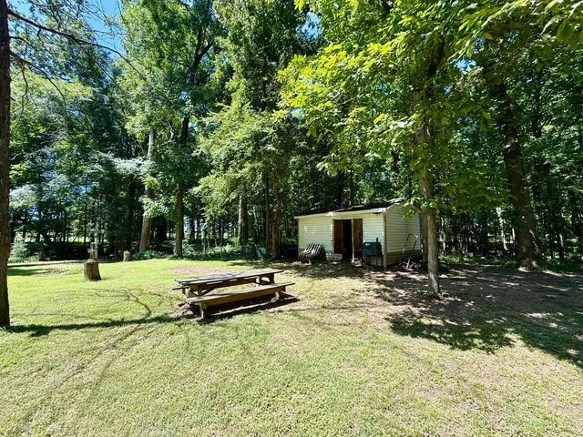 a view of a tree in the middle of a yard