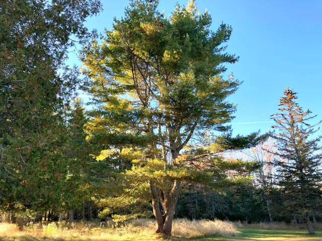 $825,000 | 122 Cross Road, Hancock, ME 04640