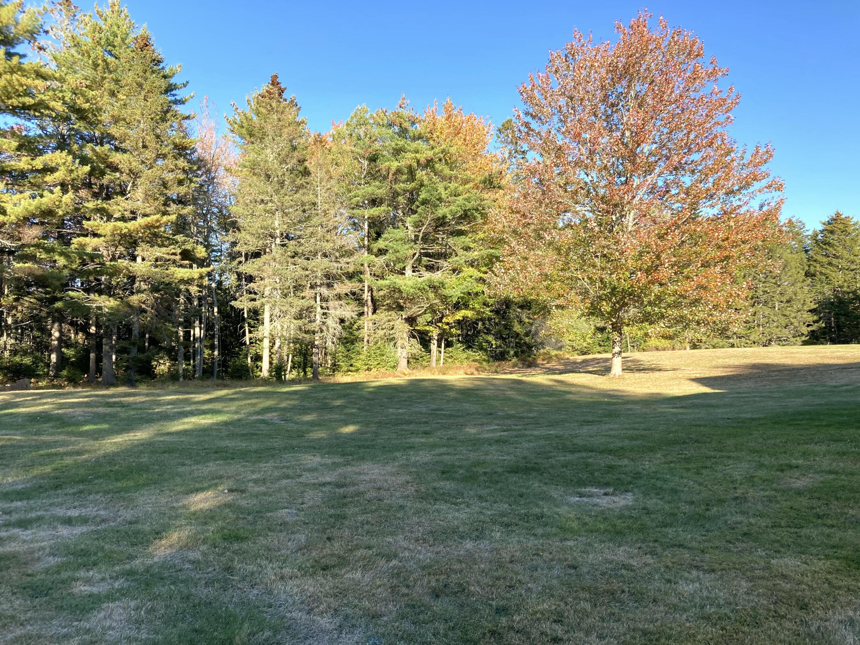 122 Cross Road Hancock, ME 04640 - Photo 41 of 45 Back field.