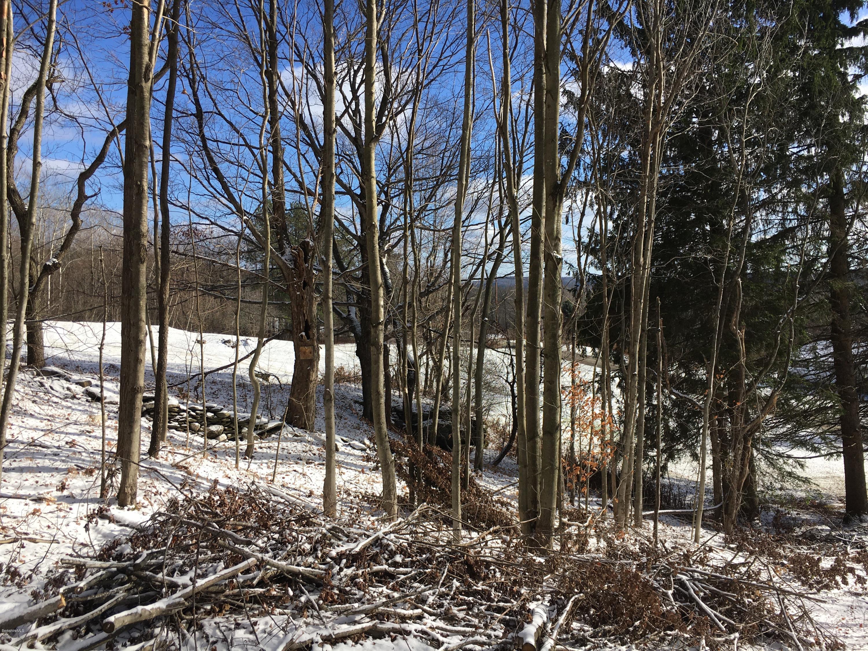 South County Road North Adams, MA 01247 - Photo 5 of 9 a view of outdoor space with lots of trees