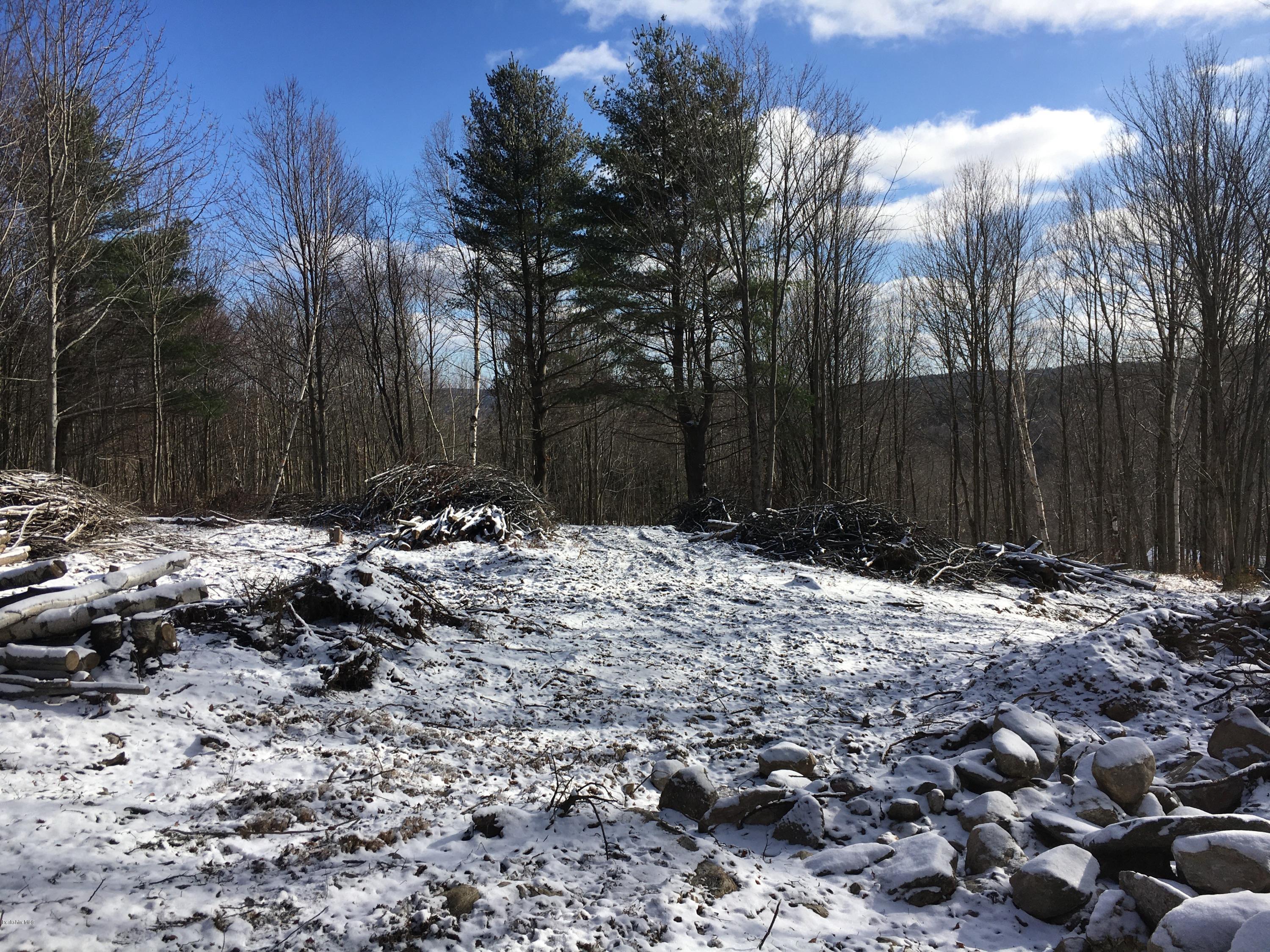 South County Road North Adams, MA 01247 - Photo 6 of 9 a view of outdoor space and yard