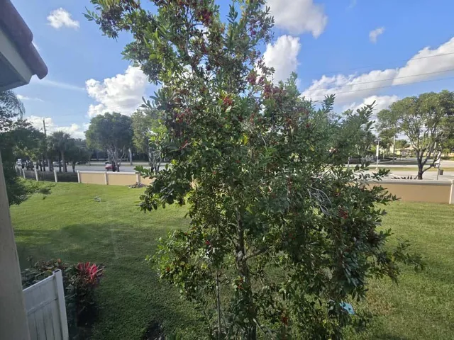 a view of a lake from a yard