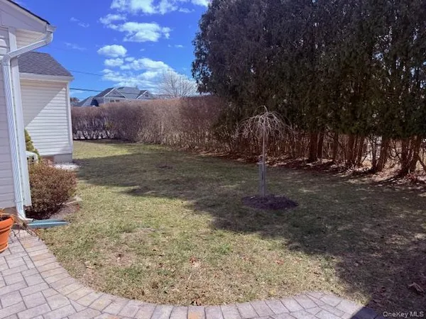 a view of a backyard with large trees