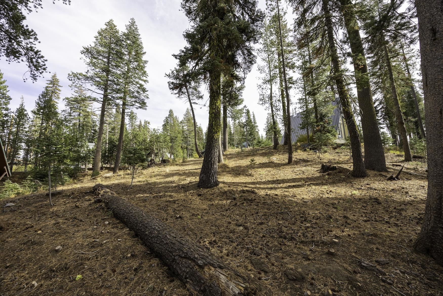 8141 Soda Springs Road Soda Springs, CA 95728 - Photo 5 of 11 Gallery Image 5