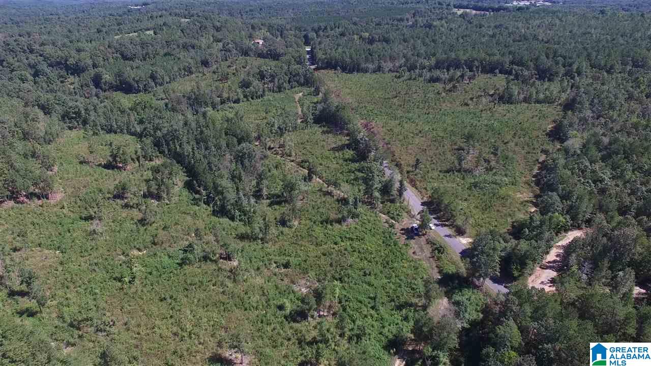 0 Jackson Trail, Unit 140 ACRES Altoona, AL 35952 - Photo 12 of 50