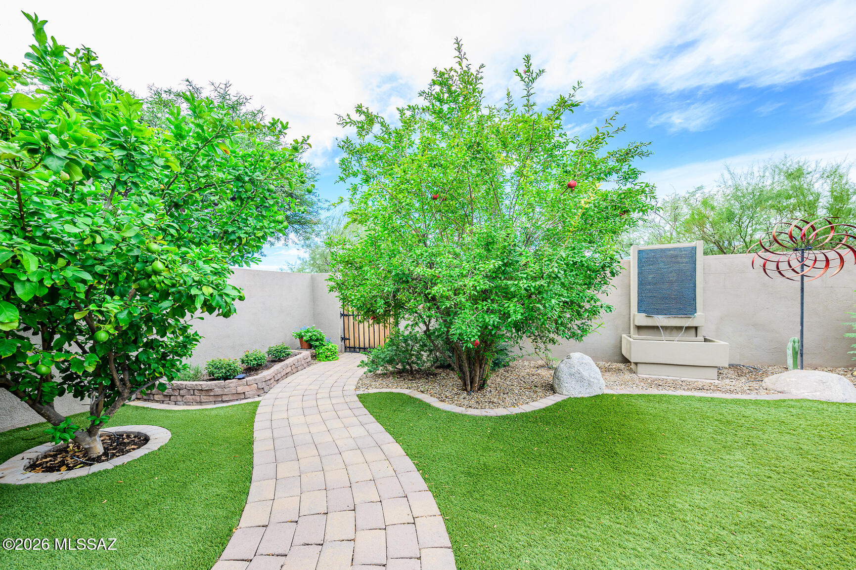 5800 North Kolb Road, Unit 10155 Tucson, AZ 85750 - Photo 19 of 30 New turf and pavers to frame citrus and pomegranite trees!