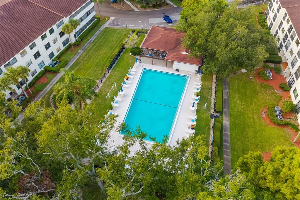 2585 Countryside Boulevard, Unit 4302 Clearwater, FL 33761 - Photo 52 of 56